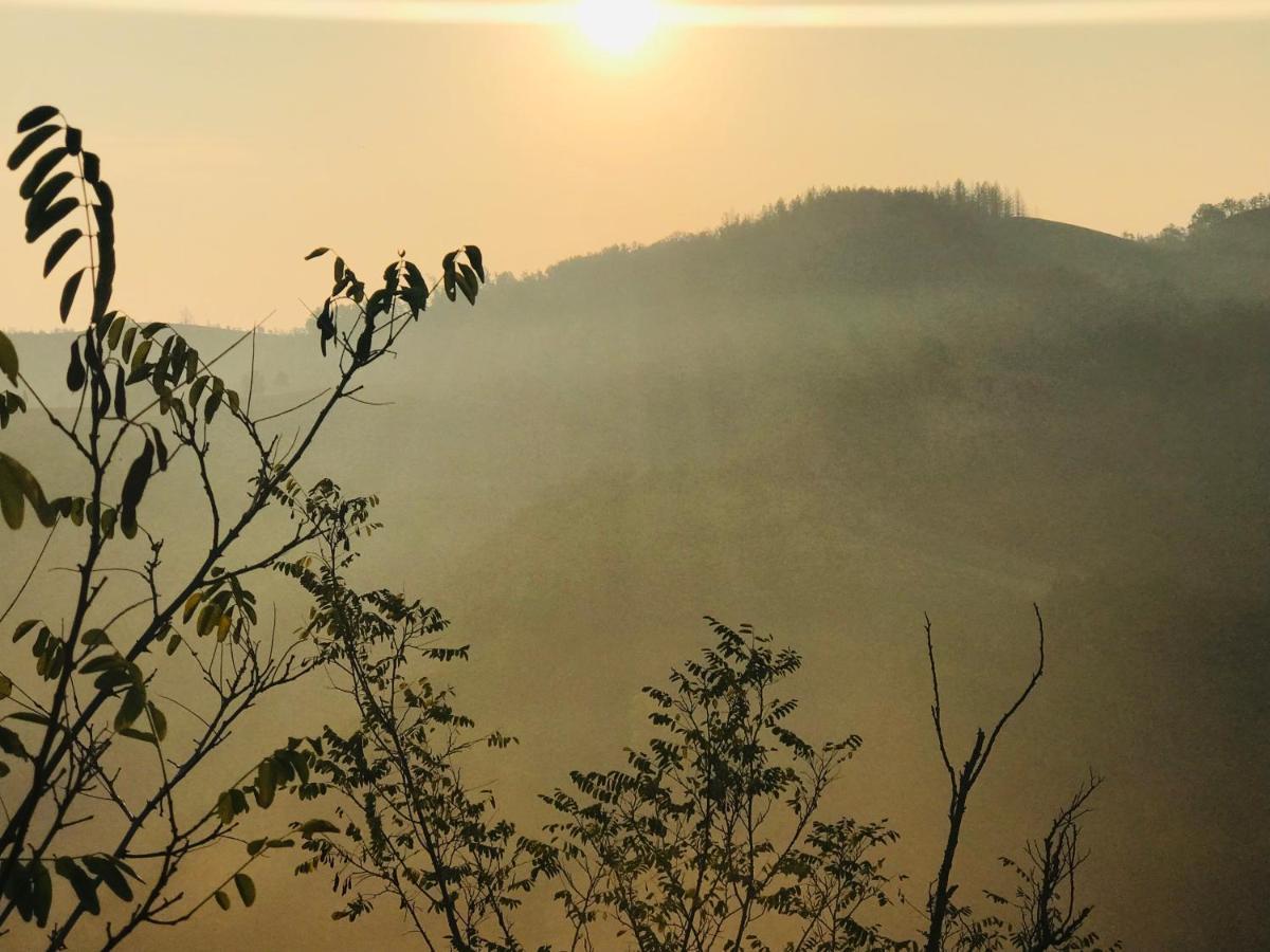 Alloggio per agriturismo Pizzicalaluna Pianoro