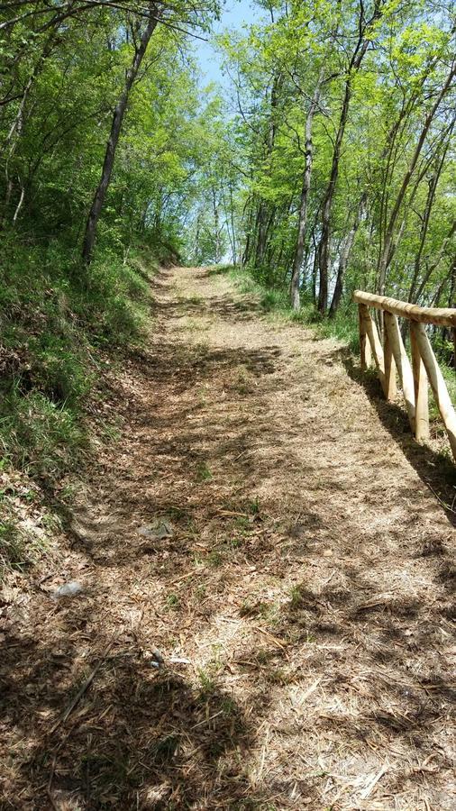 Pizzicalaluna Alloggio per agriturismo *