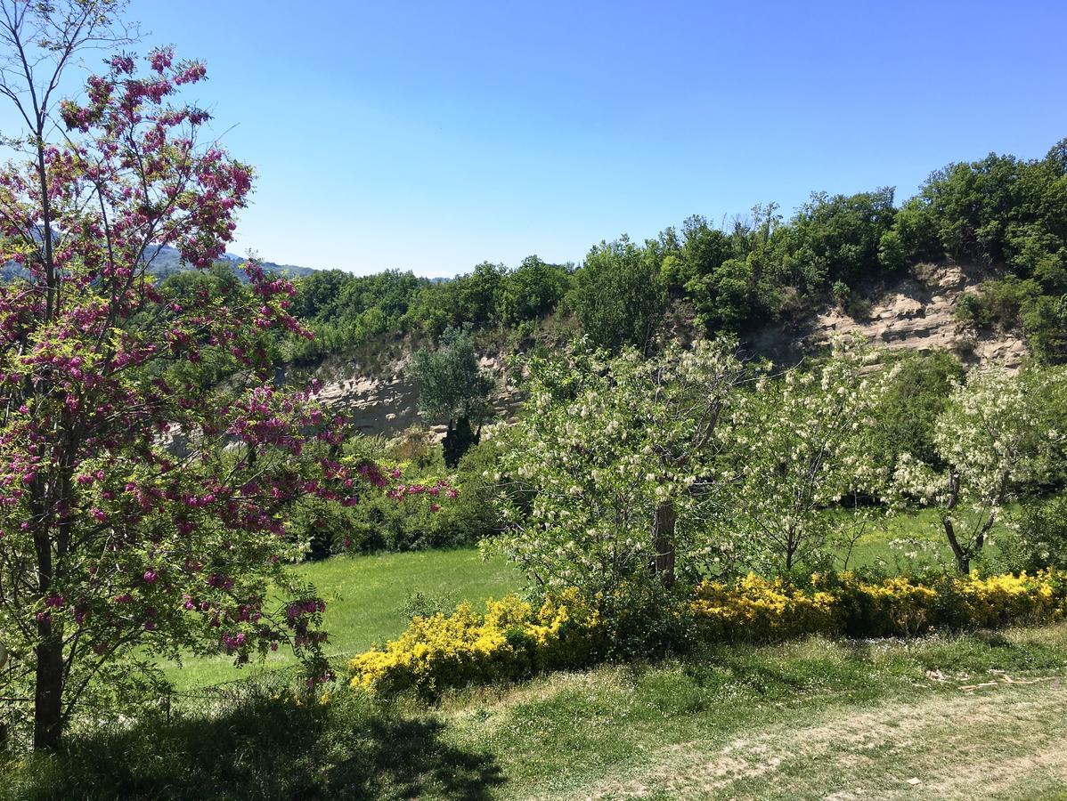 Alloggio per agriturismo Pizzicalaluna Pianoro