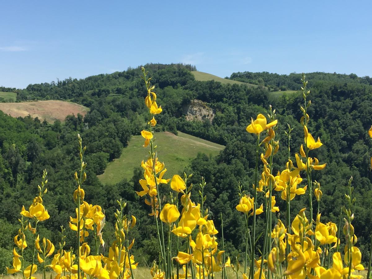 Alloggio per agriturismo Pizzicalaluna