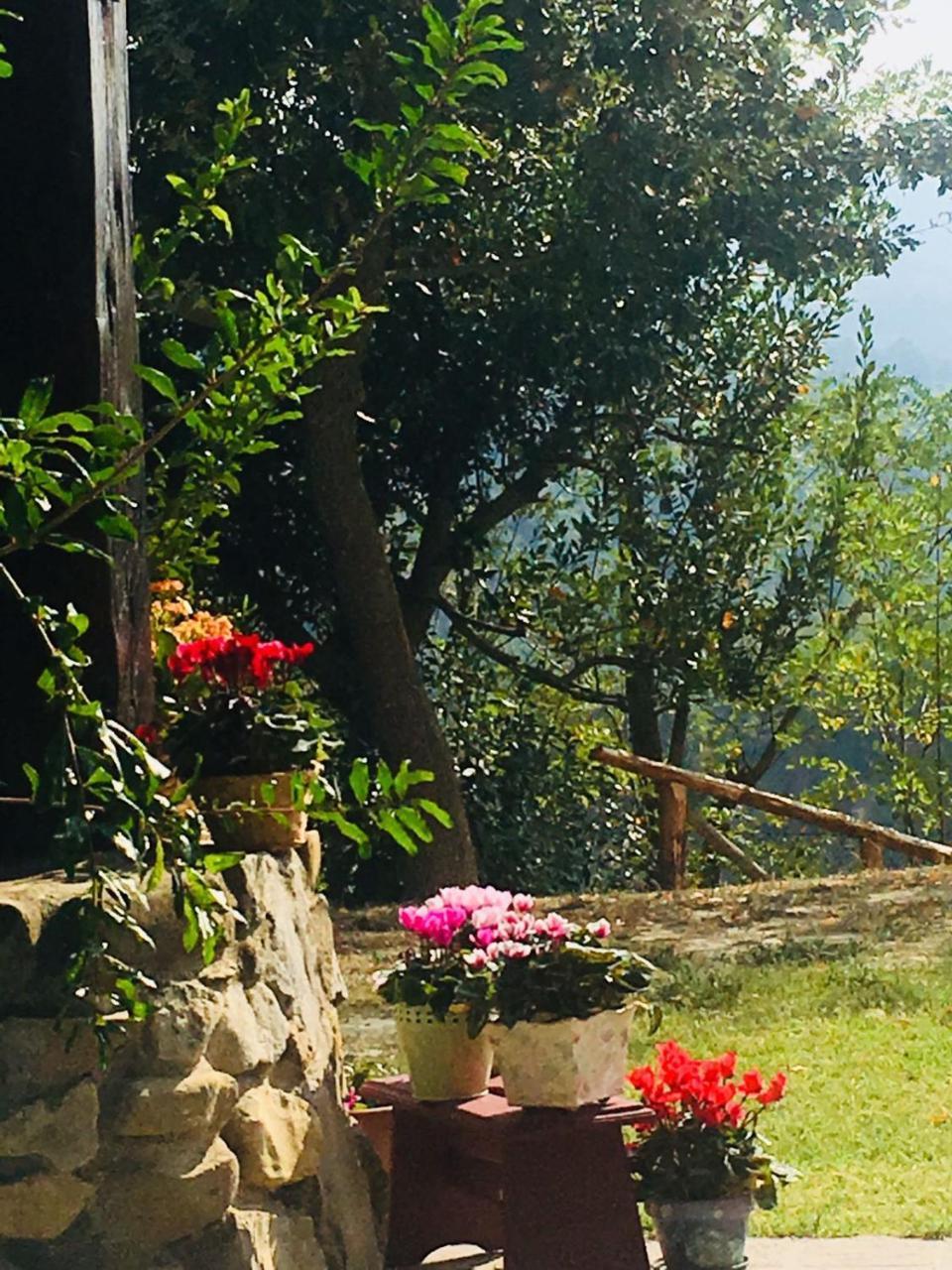 Pizzicalaluna Séjour à la ferme Pianoro